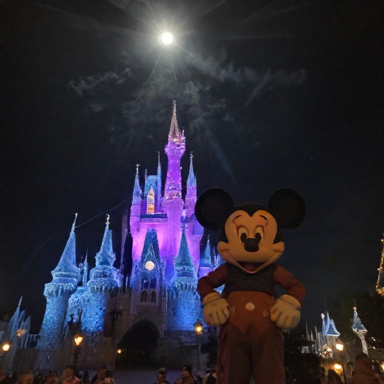 wdw